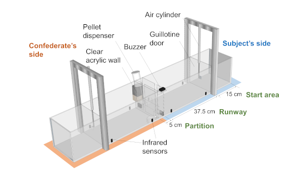 figure-results-3 Animal behavior experiment setup with guillotine door, infrared sensors, and pellet dispenser diagram.