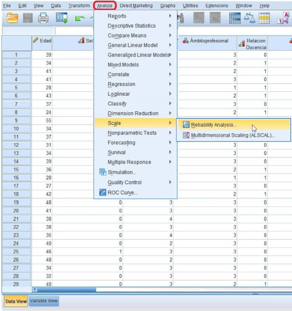 Statistical software menu for reliability analysis, multidimensional scaling, SPSS data analysis.
