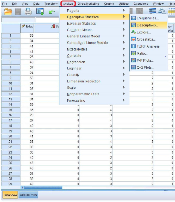 Statistical analysis process menu in data analysis software showing descriptive statistics options.