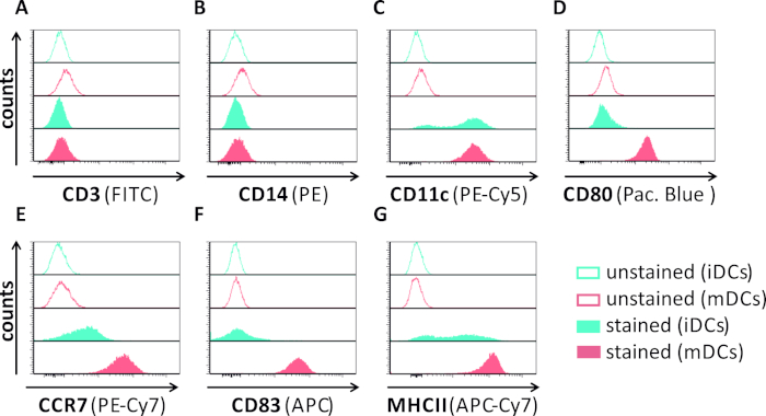 Flow cytometry histograms; depicts CD markers (CD3, CD14, CD11c) in immune cell analysis.