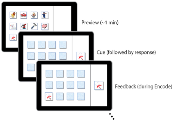 Sequential memory task diagram with preview, cue, feedback phases for cognitive processing study.