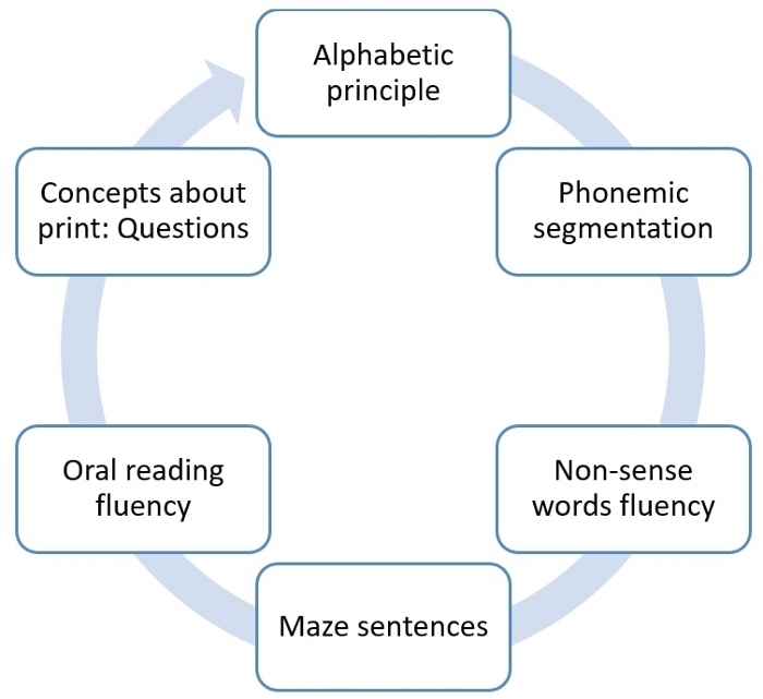 Literacy skills development cycle diagram: phonemic segmentation, fluency, maze sentences, principles.