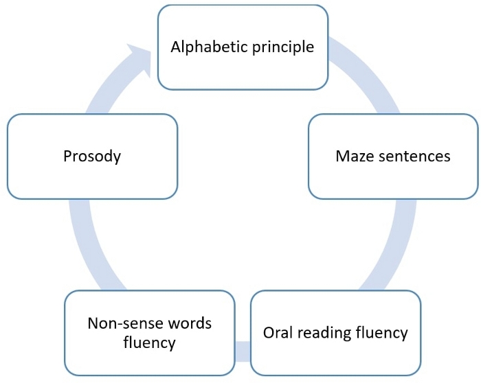 Circular diagram of reading skills: alphabetic principle, maze sentences, oral fluency, prosody.