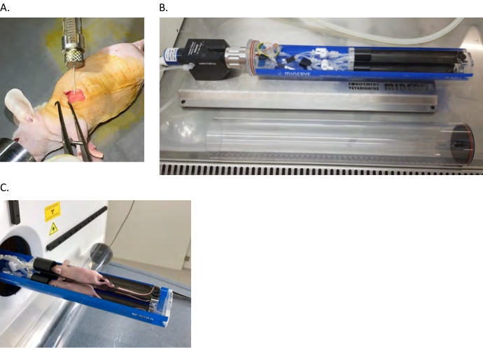 figure-results-1 Surgical procedure on animal, imaging setup for research, animal imaging system in use.