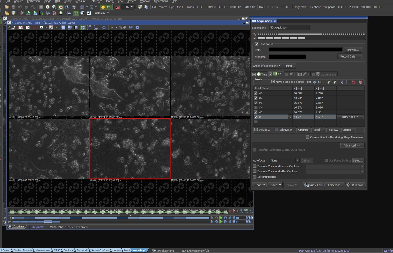 Video: Time-Lapse 2D Imaging of Phagocytic Activity in M1 Macrophage ...