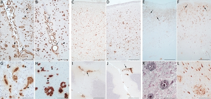 figure-results-7