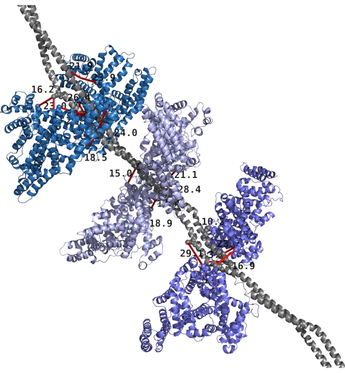 Protein-DNA interaction diagram; structural analysis; molecular binding sites; biochemical study.