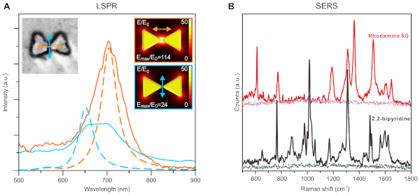 Localized surface plasmon resonance (LSPR) and surface-enhanced Raman scattering (SERS) graphs.