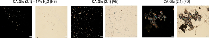 figure-results-2 CA:Glu (2:1) crystallization; microscope image; hydration states: HS, VE, FD; morphology study.