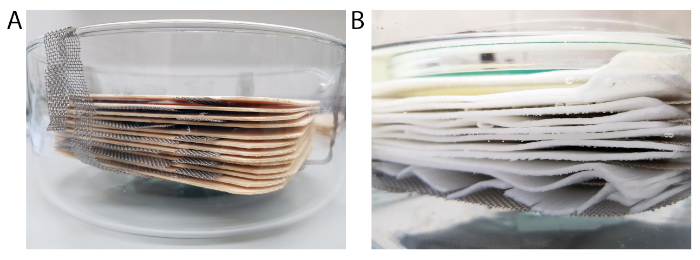 figure-protocol-1 显示玻璃容器中分离过程的层析装置,以及可视化的实验结果。