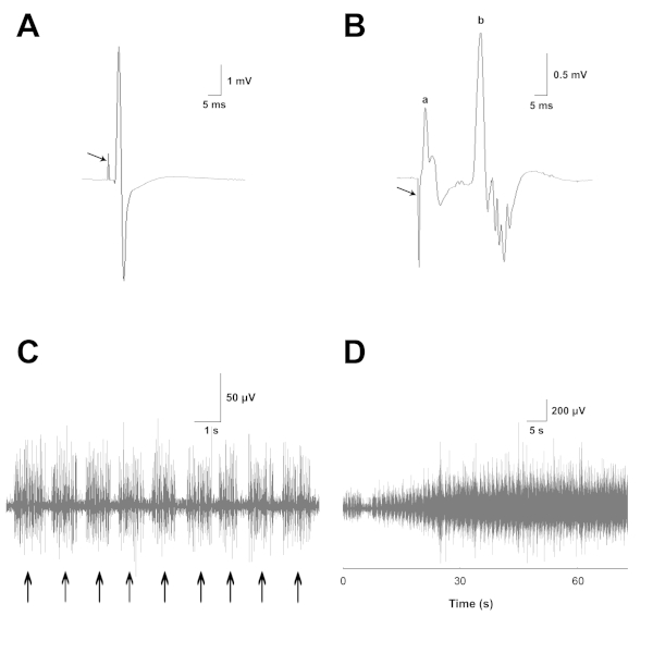 figure-results-3
