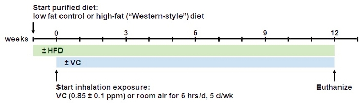 figure-results-1