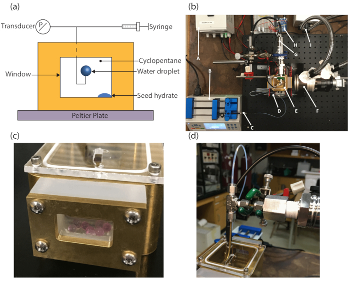 Cyclopentane hydrate formation setup with Peltier plate; includes transducer and syringe diagram.
