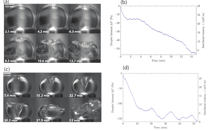 Droplet evaporation sequences with internal pressure graphs; droplet dynamics and interfacial tension.