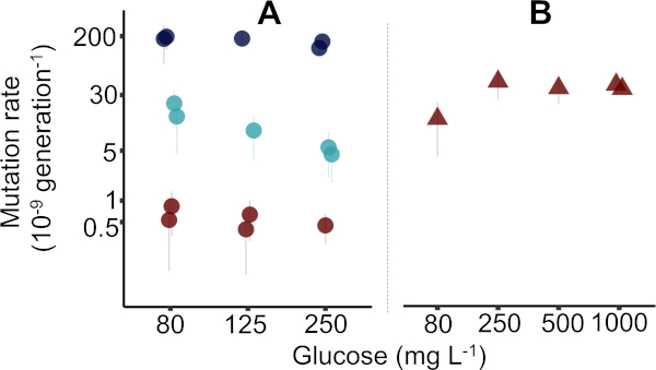 figure-results-1