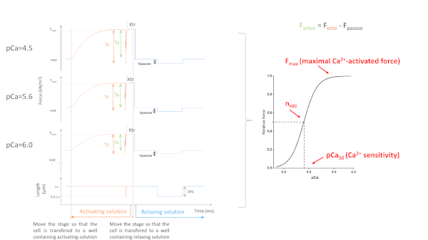 figure-results-5