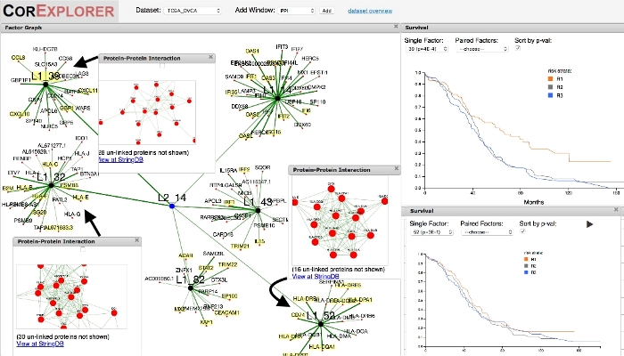 figure-results-3 Protein interaction network diagram with survival analysis graphs for data visualization.
