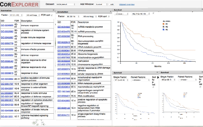 figure-results-4 Gene expression analysis; survival data; interactive tool diagram; RNA processing results; Kaplan-Meier plots.