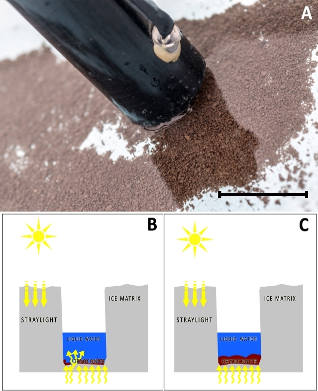 Cryoconite melt process diagram with sunlight on ice, liquid water formation, scientific study setup.