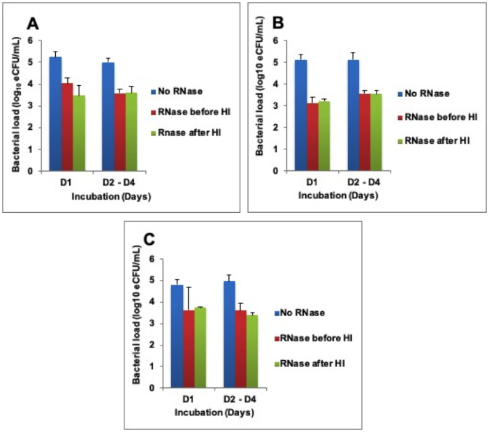 Bar charts of bacterial load over incubation days with RNase treatment conditions.