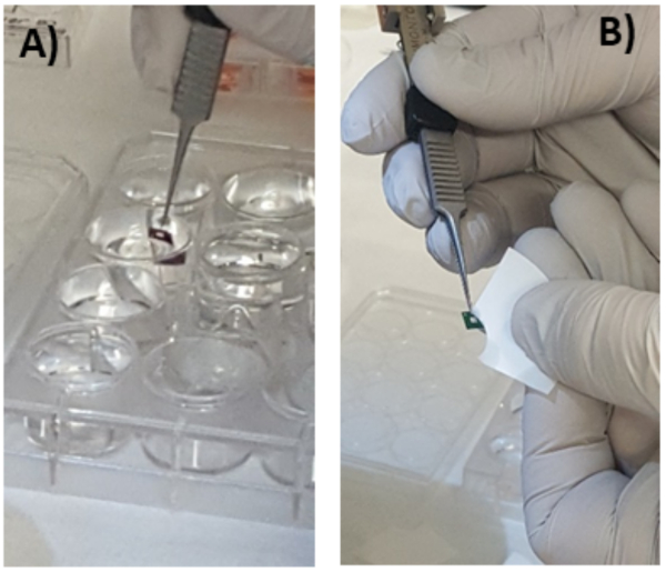 figure-results-4 Microfluidic device setup; extraction process using tweezers; experimental technique; close-up.