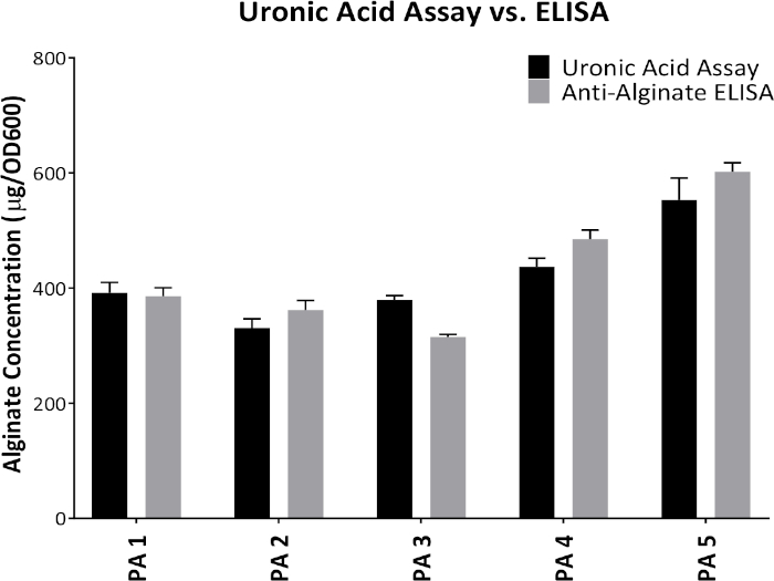 figure-results-4 Uronic acid assay vs. ELISA; bar chart comparing alginate concentration (μg/OD600).