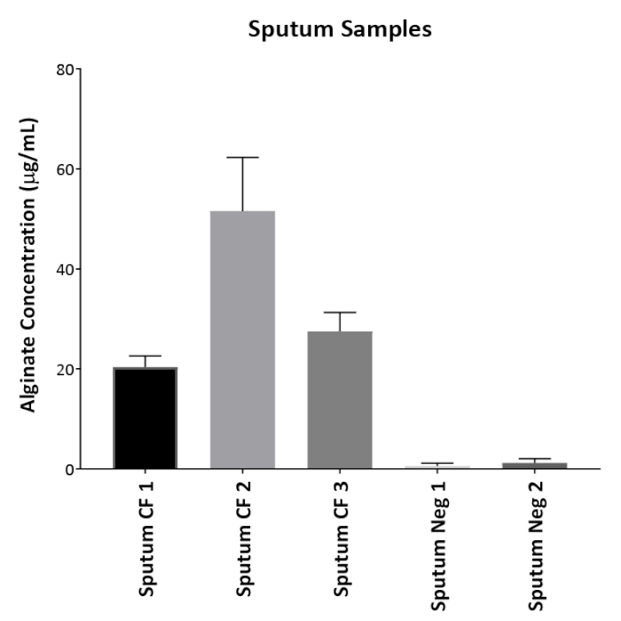 figure-results-6 Sputum sample alginate concentration bar chart; μg/mL levels for CF and Neg samples comparison.
