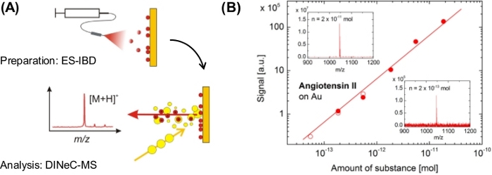 ES-IBD setup and DIneC-MS analysis for mass spectrometry; m/z graph of Angiotensin II on Au.