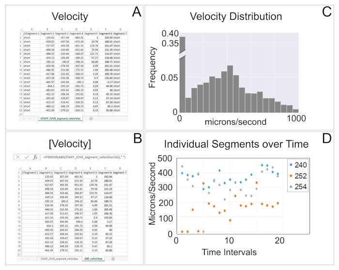Velocity data analysis with tables, velocity distribution histogram, and time-series scatter plot.