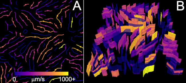 Fluid dynamics velocity field, colored vector plot, 3D visualization of flow patterns, diagram.