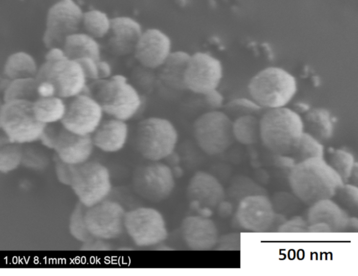 Scanning electron microscopy, nanoparticles, 60,000x magnification, structural analysis.