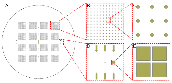 Microscopy grid analysis diagram; process of identifying sample points and data extraction.
