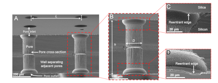 Scanning electron micrograph of microfabricated porous silicon membrane with pore structure details.