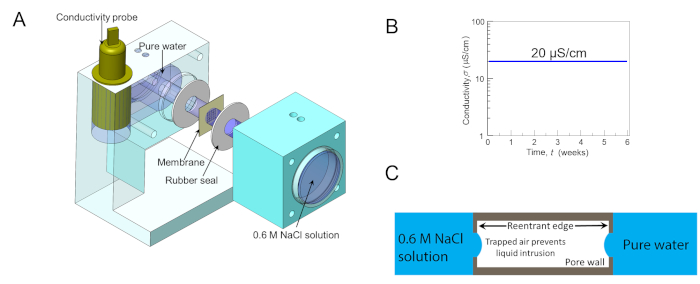 Static equilibrium process; conductivity probe setup; NaCl solution membrane diagram; conductivity graph.