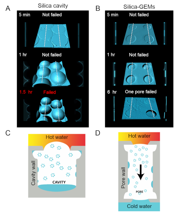 Silica-GEMs and cavity structural analysis diagram; failure times, temperature gradients shown.