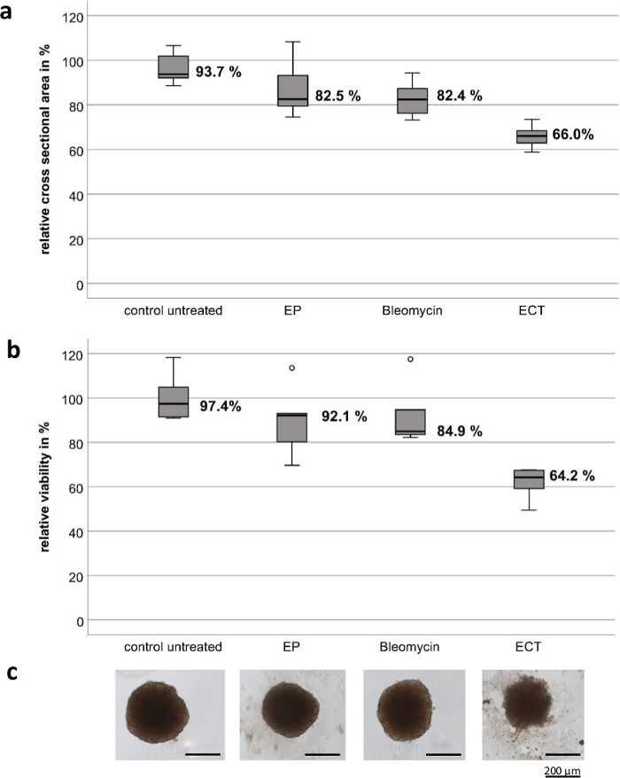 Box plots of cross-sectional area and viability in EP, Bleomycin, ECT treatments; microscopy results.