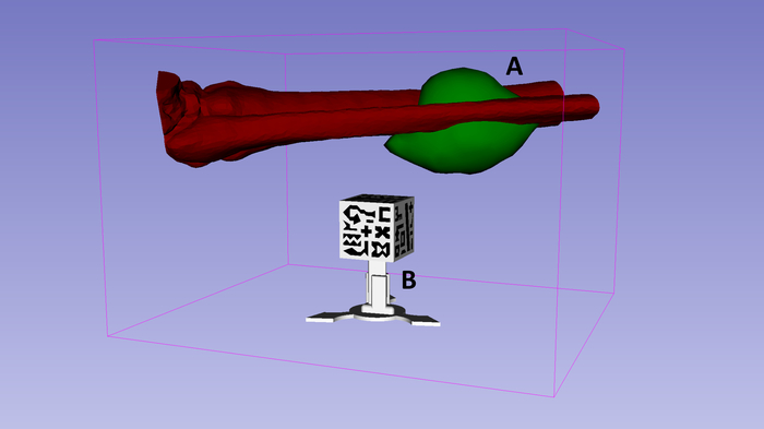 figure-results-2 Static equilibrium diagram with labeled anatomy model and calibration cube on base.