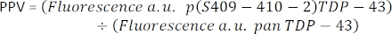 PPV equation for fluorescence measurement; formula for scientific data analysis in spectroscopy.