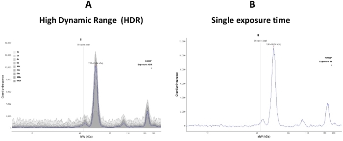 High Dynamic Range (HDR) vs. Single Exposure Chromatography Graphs, Molecular Weight Analysis.