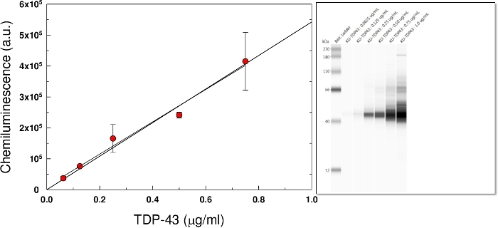Chemiluminescence assay graph and SDS-PAGE gel for TDP-43 protein quantification and analysis.