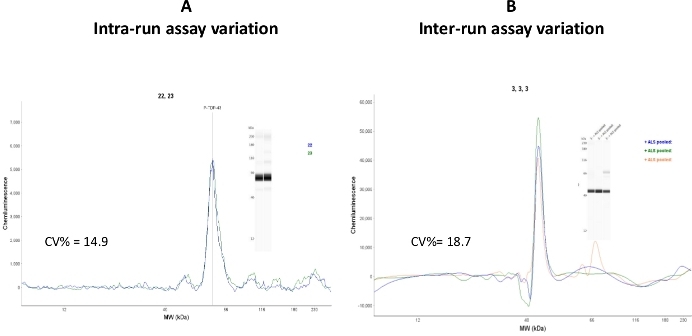 Intra- and inter-run assay variation chromatograms with electrophoresis, CV% analyzed, protein MW.