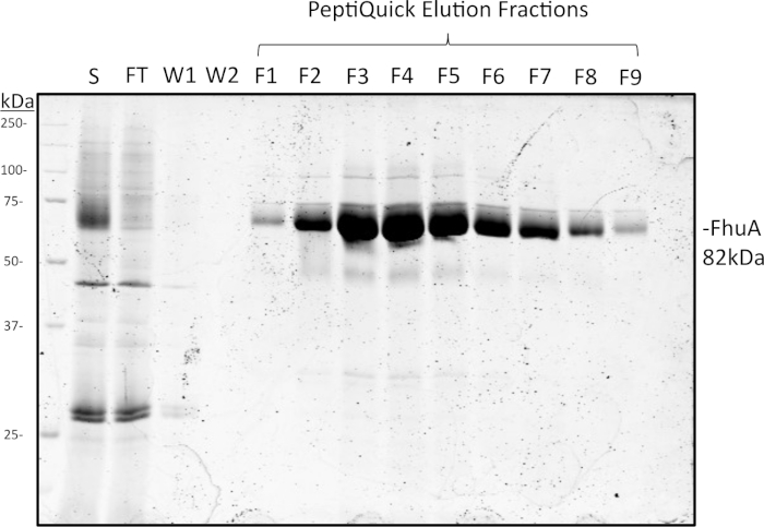 figure-results-2 figure-results-2