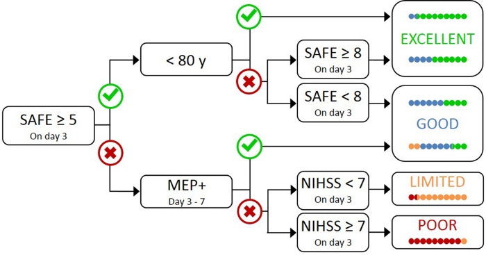 figure-introduction-1 Decision tree diagram; stroke patient recovery prognosis; SAFE score; NIHSS; MEP analysis.