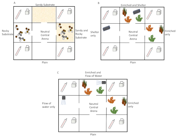 Habitat preference diagram with sandy, rocky substrates; enrichment, water flow influence test.