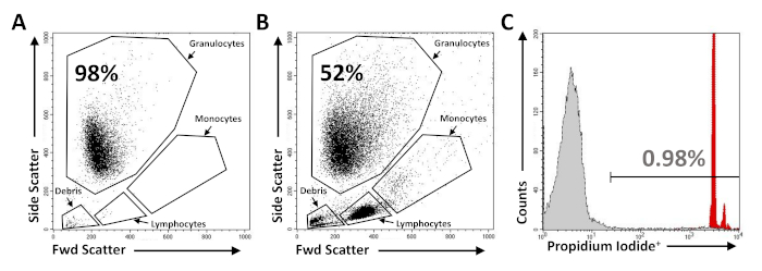 Flow cytometry analysis; forward scatter, side scatter diagrams; cell population, viability assay.