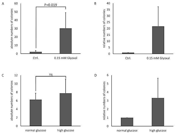 Glyoxal effect on cell colonies, bar chart analysis, absolute and relative colony numbers, statistical results.