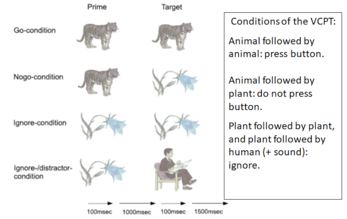 Visual Continuous Performance Task (VCPT) diagram with animal and plant stimulus-response conditions.