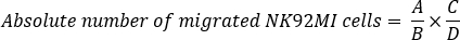 NK92MI cell migration calculation, formula \( \frac{A}{B} \times \frac{C}{D} \).