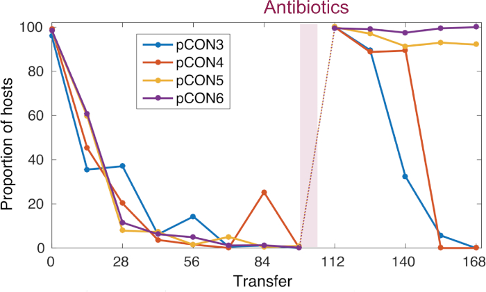 figure-results-4 Bacterial evolution graph; host proportion vs. transfer; antibiotic effect on pCON plasmids.