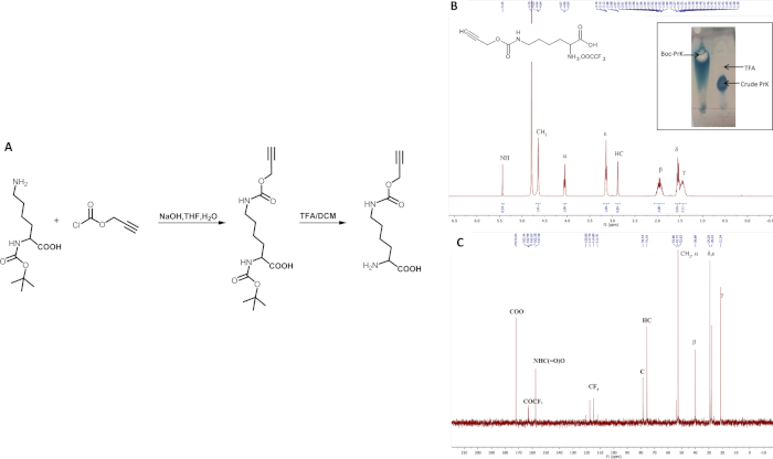 figure-results-2 化学合成序列与光谱分析;包含核磁共振谱图和化合物结构的示意图。